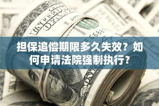北京担保追偿期限多久失效？如何申请法院强制执行？