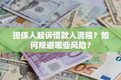 北京担保人起诉借款人流程？如何规避哪些风险？